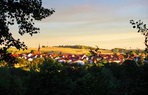 Natururlaub Frankenau - Foto 21