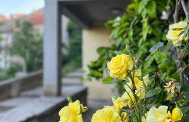 Studio Apartman Ana - Foto 16