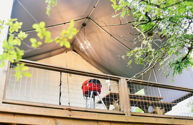 17 Son's Rio Cibolo - Birdhouse Cabin - Foto 16