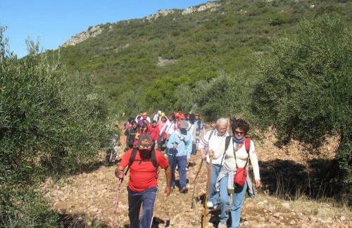 Cortijo "Era Grande 1" - Foto 42