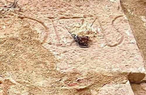 Casa Rural Verde Oliva - Foto 44