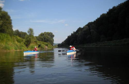 Świerkowe Rancho - Foto 14