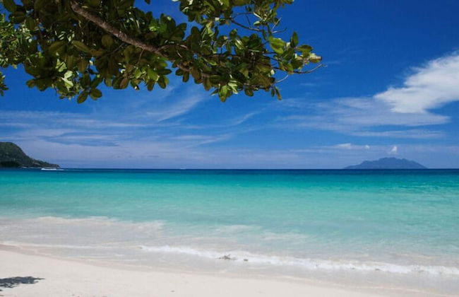 Alpha & Omega Seychelles - Foto 26