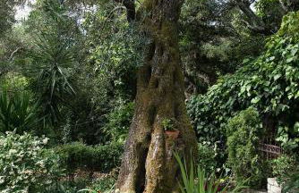 Villa Lofos - Photo 9