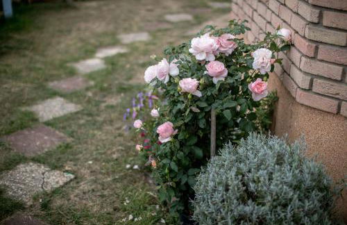 Ferienwohnung Landhaus Swisttal - In der Nähe Phantasialand Brühl und Palmenparadies Therme Euskirchen - Foto 4