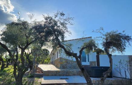 Agroturismo Viña Inés Toledo - Photo 34