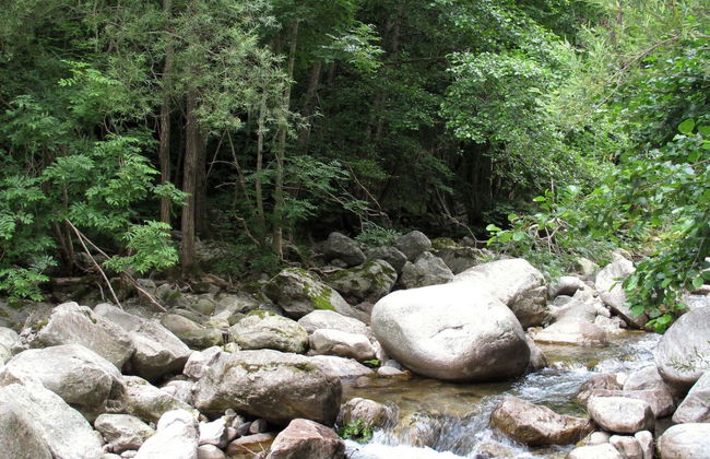 Les Galets - Foto 24