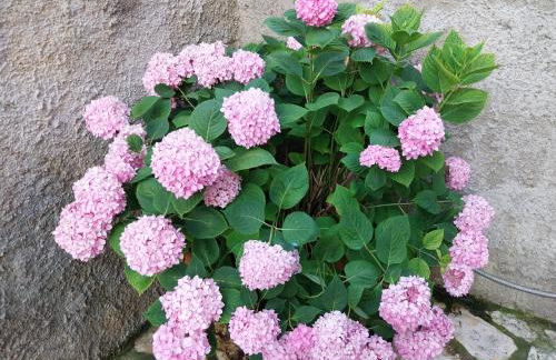 Casa di Giulia (Bambini gratis fino a 6 anni) - Foto 25