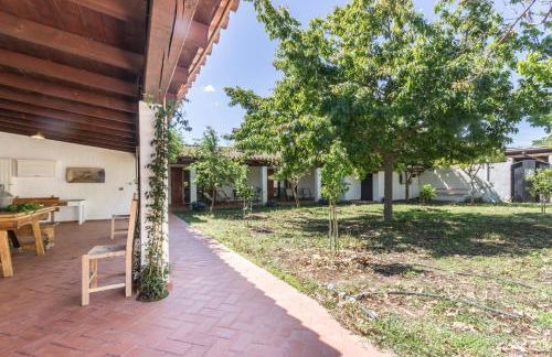 Abba Arrubia - Foto 20