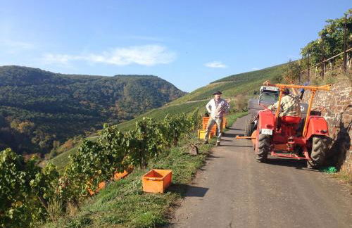 Rhine Pearl Hideaways - Foto 15