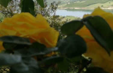 La Giuncaia - Photo 54