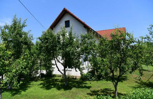 Apartment Stjepan - Foto 8