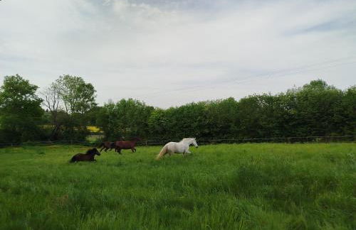 Maisonnette Familiale proche du PUYDUFOU - Photo 14