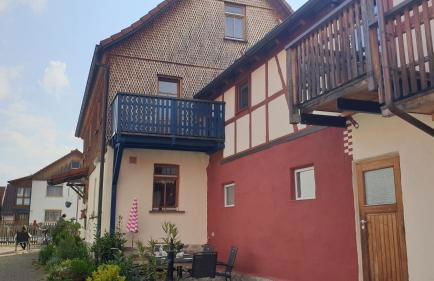 Studio Kaline - Foto 21