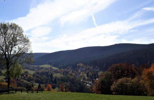 Cozy Ski Base With Garden - Foto 79