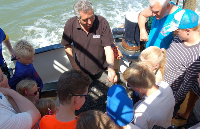 Holiday Home on Texel With Spacious Garden - Foto 18