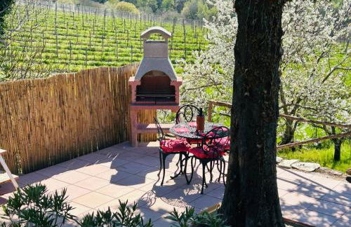 Charming Tuscan Suite with Pool 2 to 5 persons Lamole Greve in Chianti - Foto 18