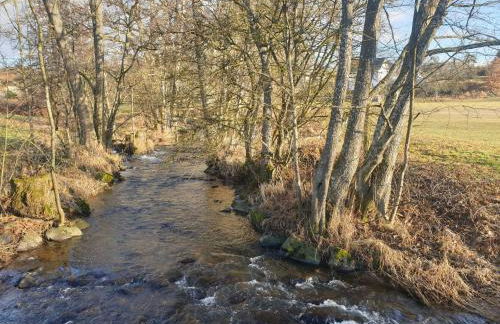 Ferienwohnung Alter Farbhof - Foto 29