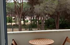 Riccio di Mare - Foto 26