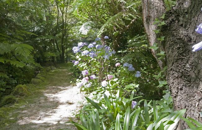 Lotus Lodges - Foto 21