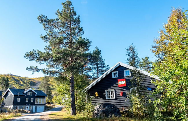 Geilolia Hyttetun - Foto 46