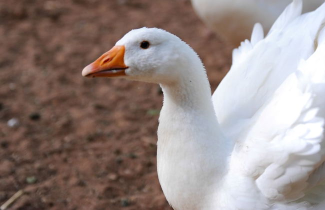 De Werf Lodge - Photo 26