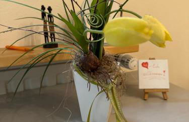 Nettes Apartment mit schönem Bad - Foto 17