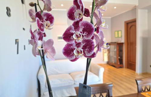 Casa Vacanze Gargallo - Foto 6