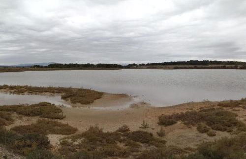 Le soleil d Eugènie appartement dans résidence avec Piscine commune près de Carcassonne - Foto 52