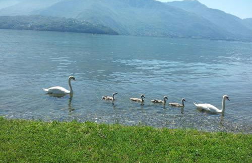 Apartment Rosa Dei Venti - Foto 69