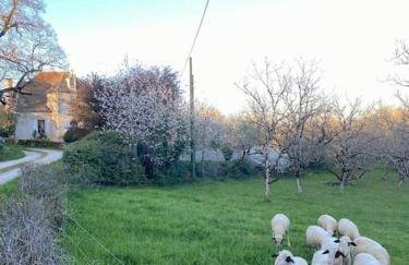 La Grangette de Paunac - Photo 16