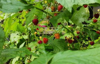 Chata w Ciszy - Foto 14