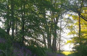 Ferienwohnung Familie Lange, bis 8 Personen - Foto 52