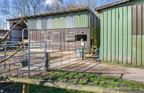 Ferienhof Friccius - Photo 29