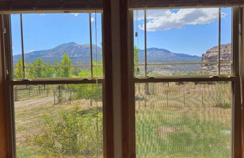 Guest House - Foto 14