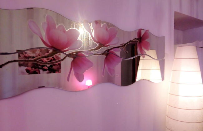 Max House Bed & Breakfast - Foto 52