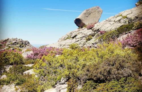 Casa na Serra, Sabugueiro - Foto 43