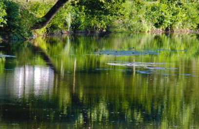 Le Moulin Neuf - Photo 29