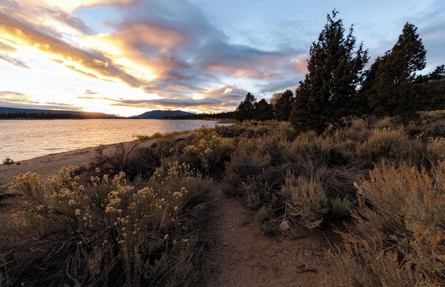 Heavenly Bear #2362 - Foto 19