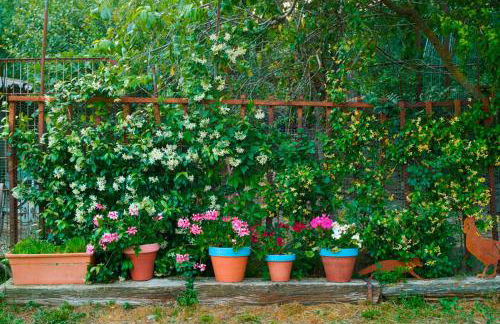 Casa A'Pajera - Photo 24