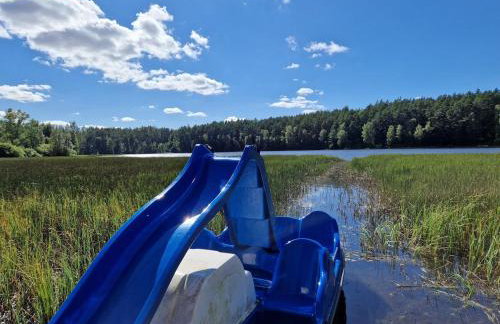 Siedlisko Bieszkowice - Foto 46