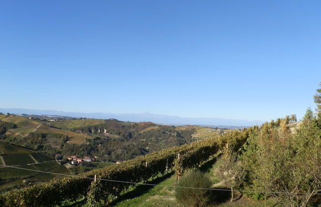 Ca der Forn the Bread Oven House in Cascina Bricchetto Langhe - Italy - Photo 20
