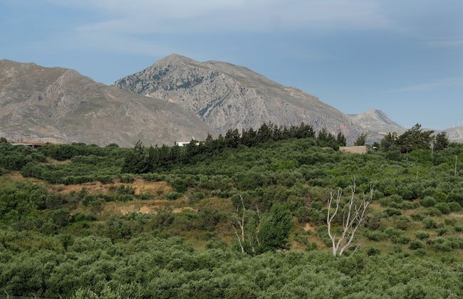 Terra Divina - Foto 60