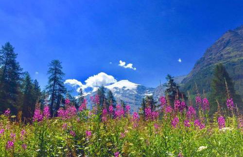 Chalet la Lauzette - Foto 24