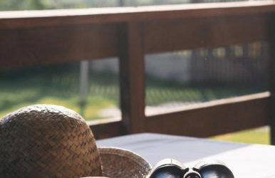 Siedlisko Słoneczny Jar - Foto 14