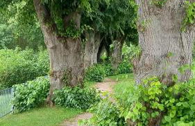 Ferienhaus Seestern - Foto 28