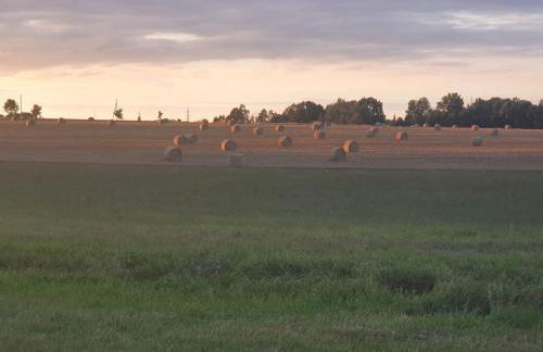 Anni's Waldblick - Foto 19