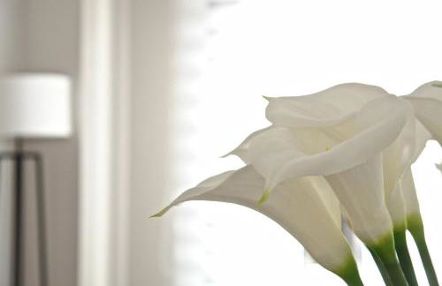 Tranquilo y Céntrico apartamento 1 dormitorio - Photo 13