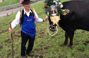 Agritur Ciasa Dò Parè - Foto 40