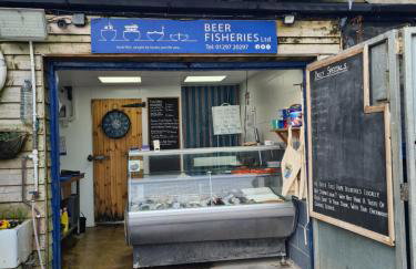 Starfish Apartment - Foto 29